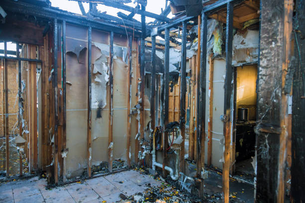 Professional Soot Removal technician working in Frenchtown, NJ
